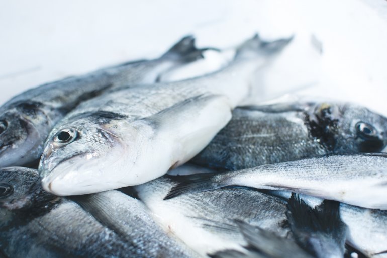 A introdução de peixe antes de 1 ano de idade diminui o risco de asma e eczema